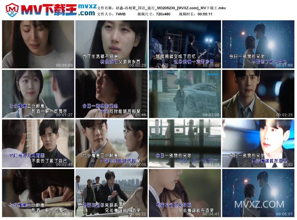 赵鑫-再相聚_国语_流行_MD205230